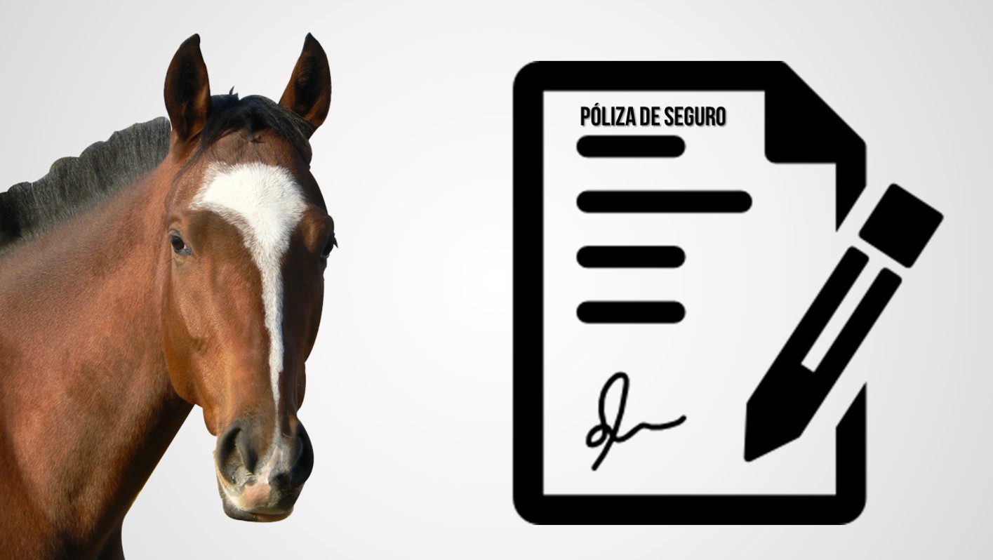 seguro de caballos