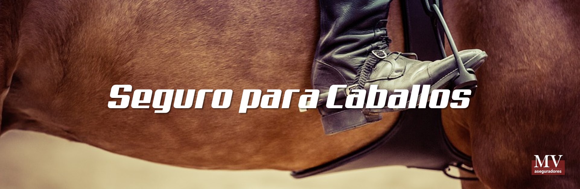 slider 1 seguro para caballos