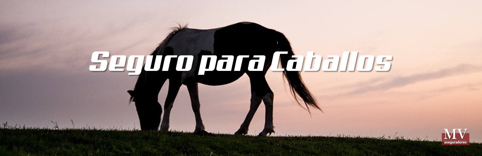 slider 3 seguro de caballos
